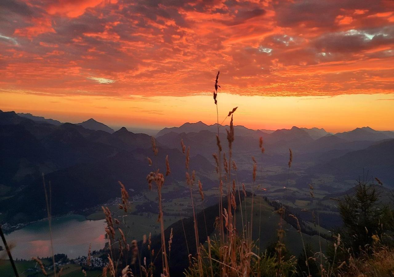 Golf- Und Sporthotel Moarhof Walchsee Dış mekan fotoğraf